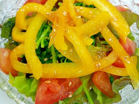 脂質異常症の方へ 豆苗とわかめの彩りサラダ